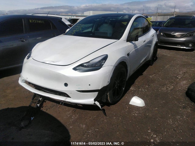 5YJYGDEE0LF036576 Tesla Model Y