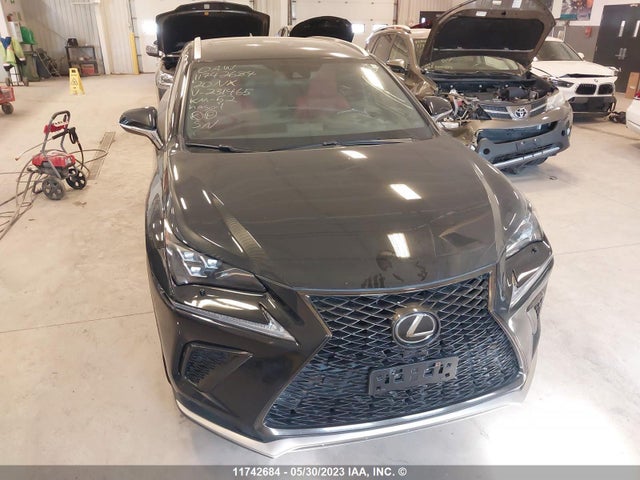 JTJSARDZ1L2231465 Lexus Nx Nx 300