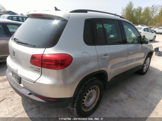 WVGJV3AX0EW602481 Volkswagen TIGUAN