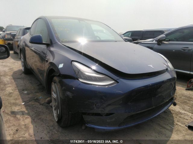 Продажа на аукционе авто 2021 Tesla Model Y, vin: 5YJYGDED9MF116869, номер лота: 11743951
