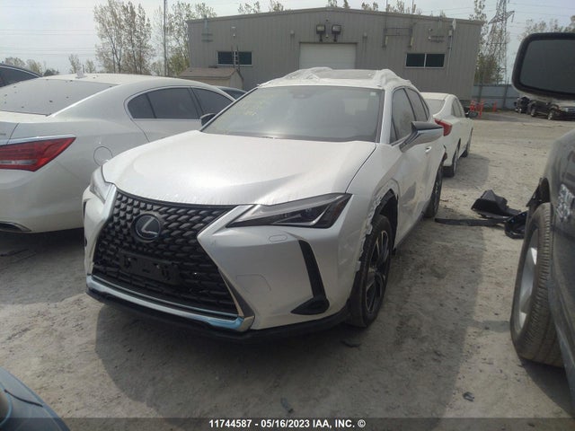 JTHP9JBH1M2037161 Lexus Ux Ux 250h