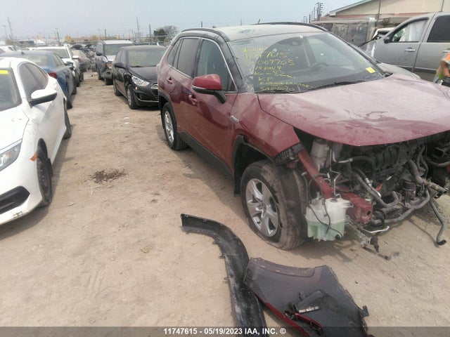 Toyota RAV4 LE 2019 2T3BWRFV9KW007705 Image 1