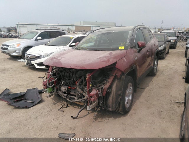Toyota RAV4 LE 2019 2T3BWRFV9KW007705 Image 2