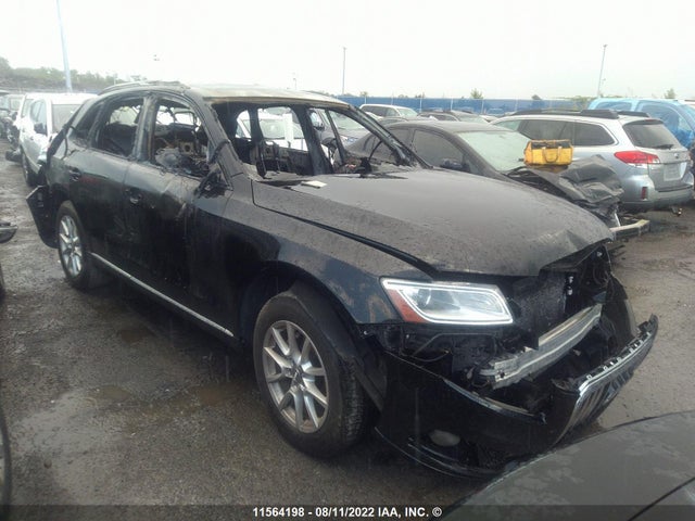 WA1CFCFP2EA090216 auction archive image