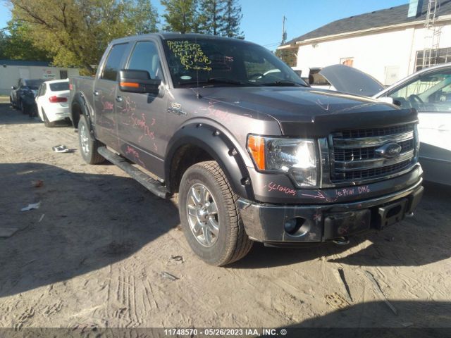 Auction sale of the 2014 Ford F150 Supercrew, vin: 1FTFW1EF8EKG00496, lot number: 11748570