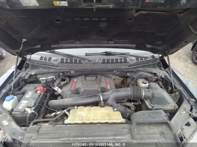Ford F150 Raptor 2020 1FTFW1RG4LFB22733 Image 10
