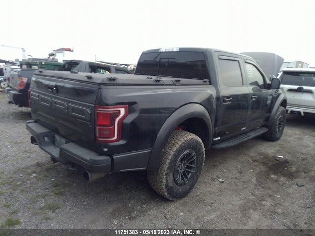 Ford F150 Raptor 2020 1FTFW1RG4LFB22733 Image 4