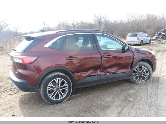 Ford ESCAPE SEL 2021 1FMCU9H66MUA87217 Image 8