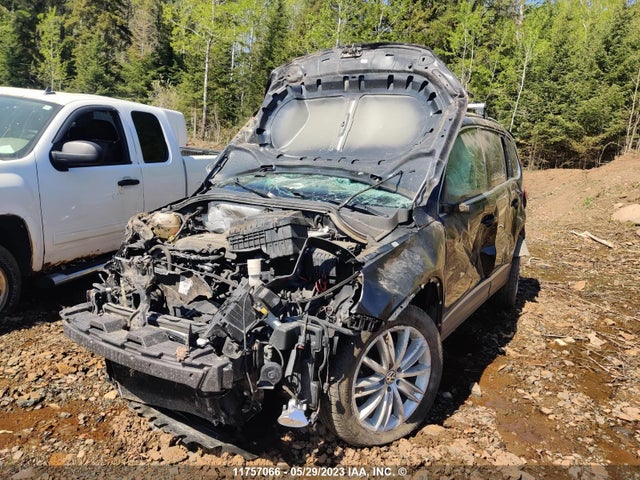 WVGJV7AX7GW014104 Volkswagen TIGUAN