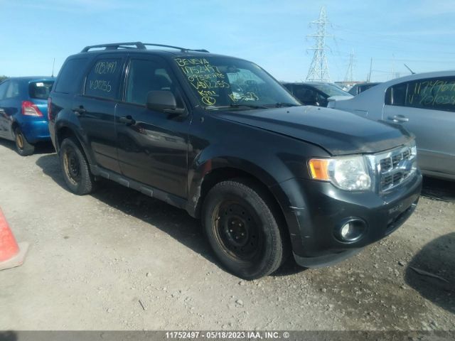 Auction sale of the 2009 Ford Escape Xlt, vin: 1FMCU93789KD12255, lot number: 11752497
