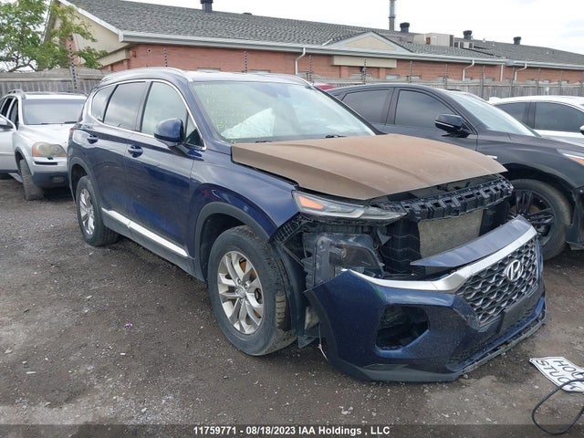 Hyundai SANTA FE 2019 5NMS2CAD6KH080817 главное изображение