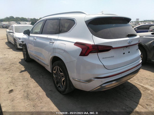 Hyundai Santa Fe Calligraphy 2021 5NMS5DAL3MH341473 Image 5