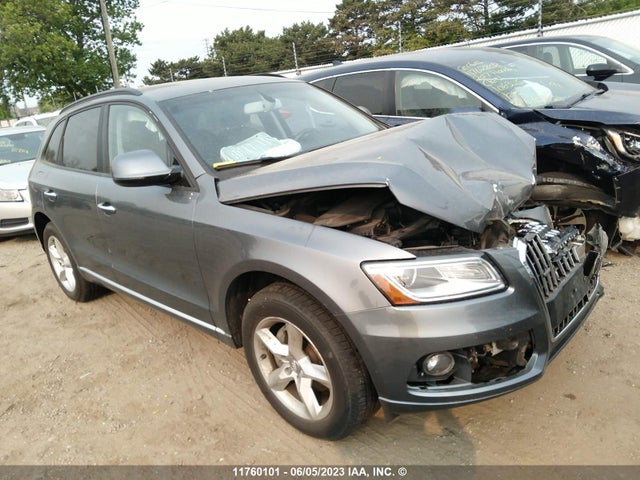 WA1CFCFP5FA133481 auction archive image