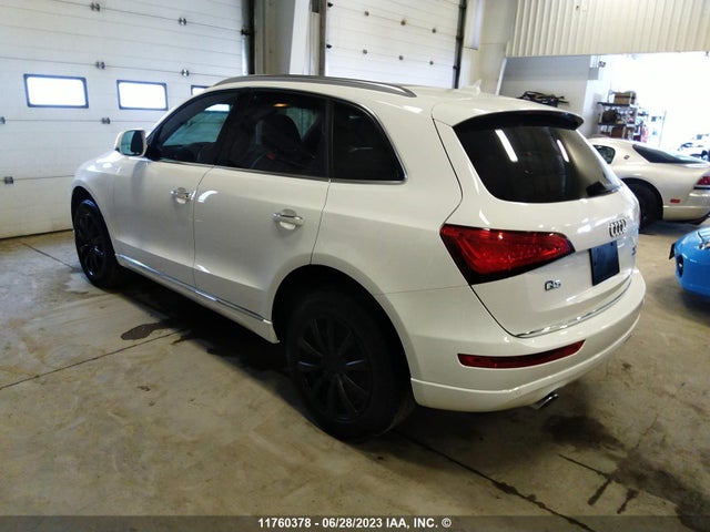 WA1CVAFP8GA009665 Audi Q5 Tdi/premium Plus