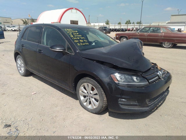 3VW217AU0FM011602 auction archive image