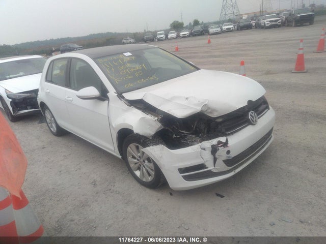 3VW217AU3HM042264 auction archive image
