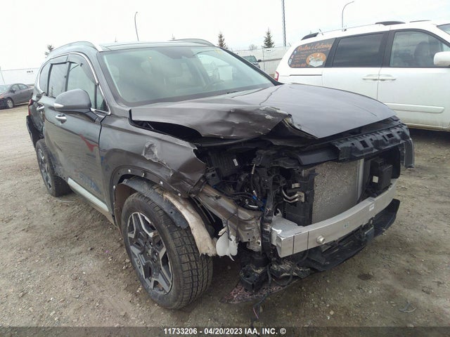 Hyundai Santa Fe Limited 2022 KM8S5DA16NU029331 главное изображение