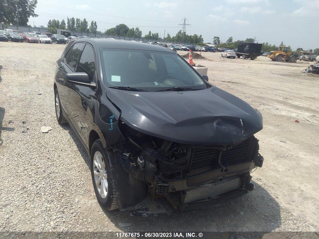 Chevrolet EQUINOX LS 2018 2GNAXREV9J6182404 Image 10