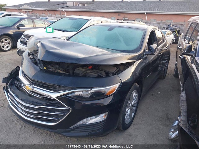 Chevrolet MALIBU LT 2019 1G1ZD5ST5KF198003 Image 2