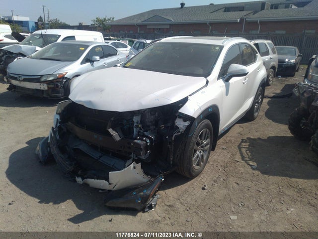JTJGJRDZ1L5008900 Lexus NX 300H