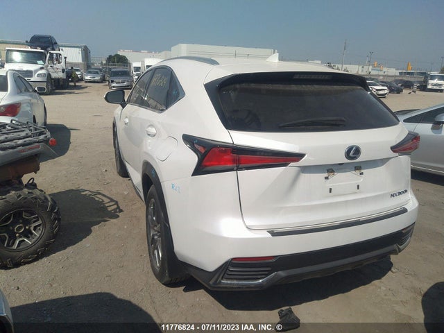 JTJGJRDZ1L5008900 Lexus NX 300H