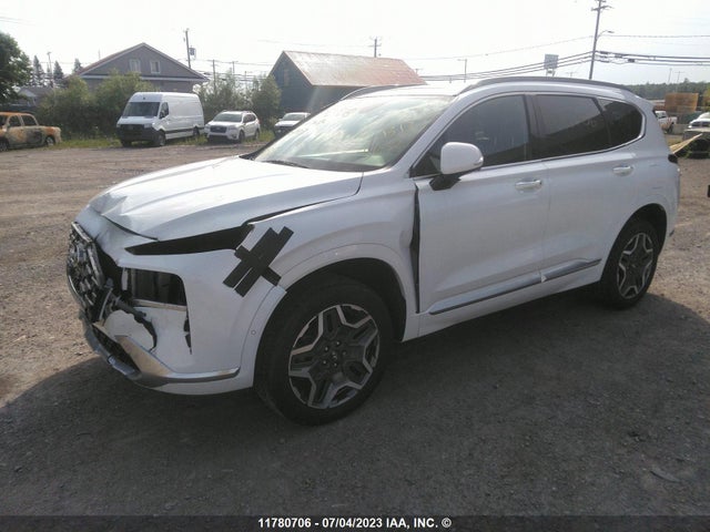 Hyundai Santa Fe Calligraphy 2021 5NMS5DAL9MH316903 Image 2