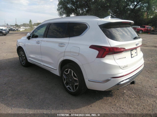 Hyundai Santa Fe Calligraphy 2021 5NMS5DAL9MH316903 Image 4