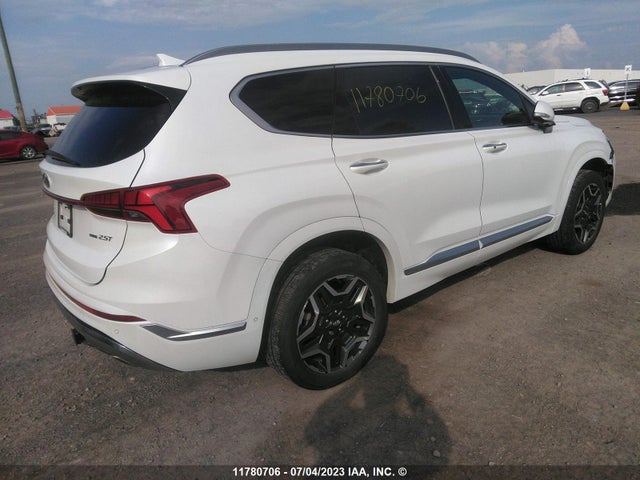 Hyundai Santa Fe Calligraphy 2021 5NMS5DAL9MH316903 Image 5