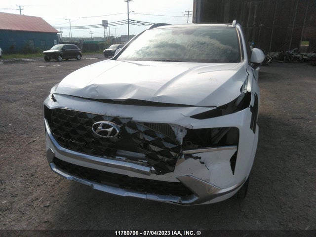 Hyundai Santa Fe Calligraphy 2021 5NMS5DAL9MH316903 Image 7