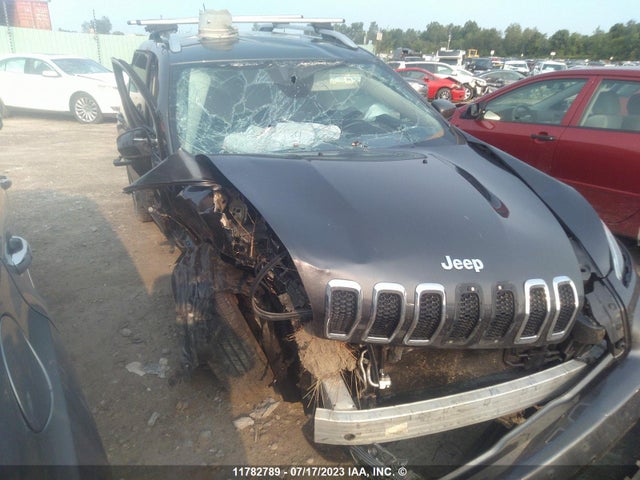 1C4PJMCS0GW231410 Jeep Cherokee