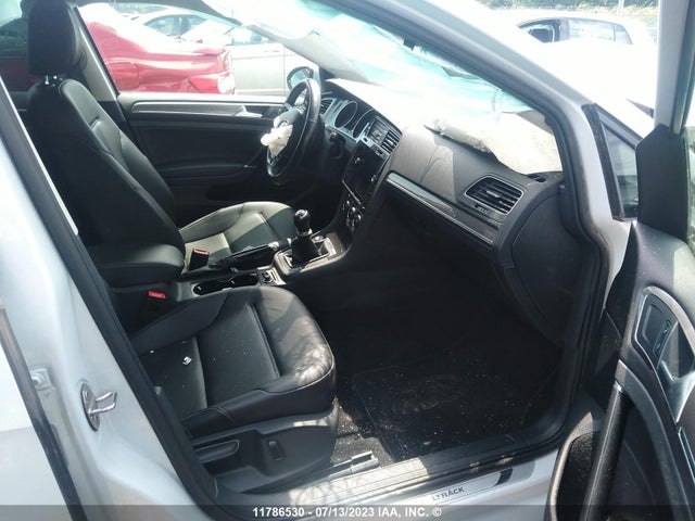 3VWM17AUXKM513651 Volkswagen Golf Alltrack S/se/sel