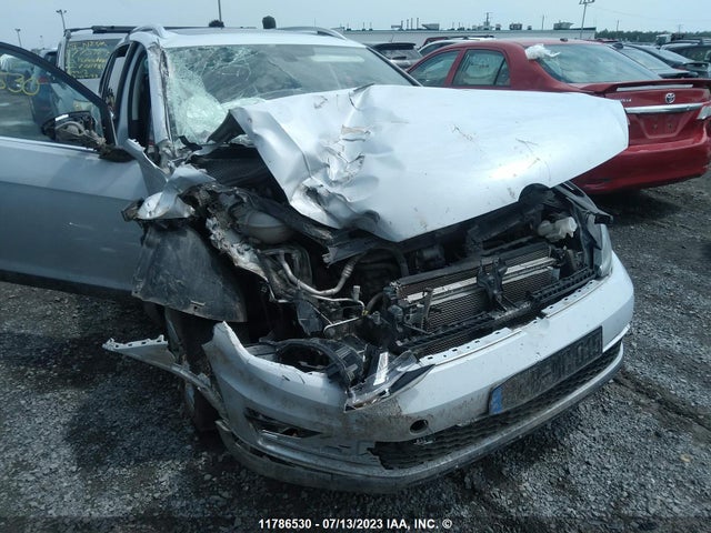 3VWM17AUXKM513651 Volkswagen Golf Alltrack S/se/sel