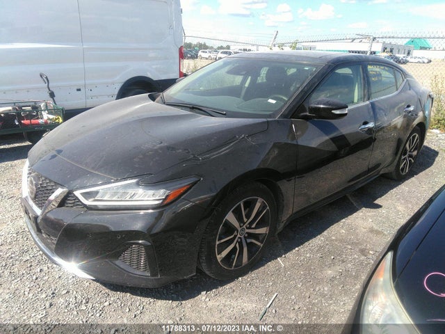 Nissan MAXIMA SL 2022 1N4AA6DV3NC503060 Image 2