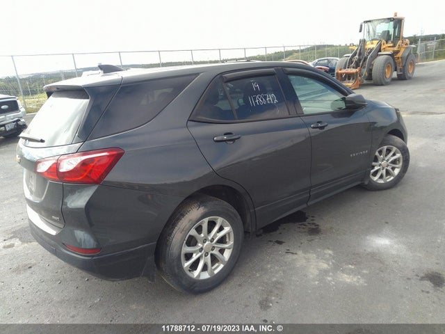 Chevrolet EQUINOX LS 2019 2GNAXSEV0K6110399 Image 4