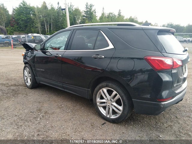 Chevrolet Equinox Premier 2019 2GNAXYEXXK6118983 Image 3