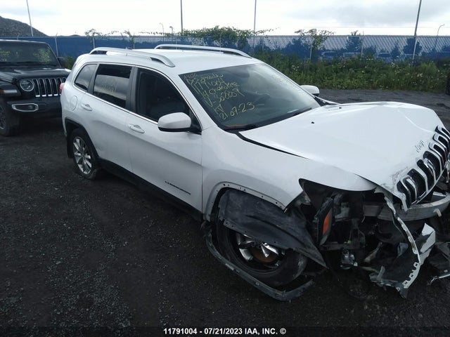 1C4PJLDB6EW302809 auction archive image
