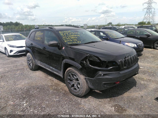 1C4PJMBXXLD656863 auction archive image