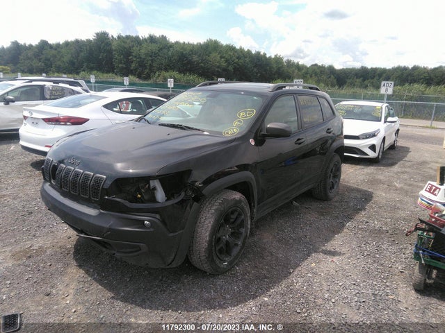 1C4PJMBXXLD656863 Jeep Cherokee Trailhawk