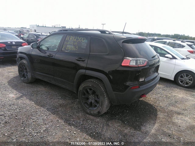 1C4PJMBXXLD656863 Jeep Cherokee Trailhawk