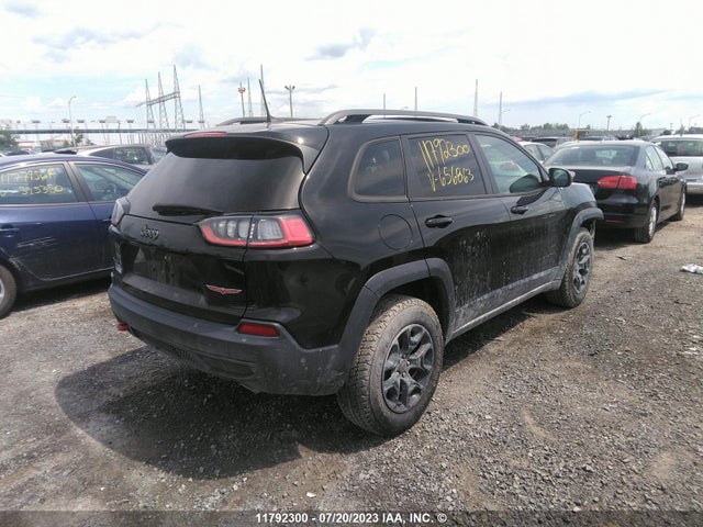 1C4PJMBXXLD656863 Jeep Cherokee Trailhawk