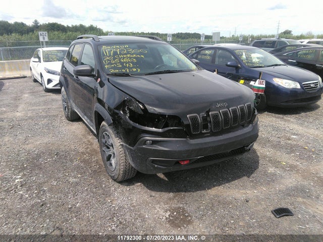 1C4PJMBXXLD656863 Jeep Cherokee Trailhawk
