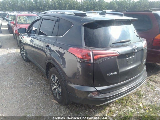 Toyota Rav4 Xle 2016 2T3RFREV5GW429235 Image 3
