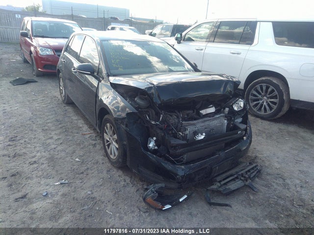 2016 3VW217AU5GM047500 main image
