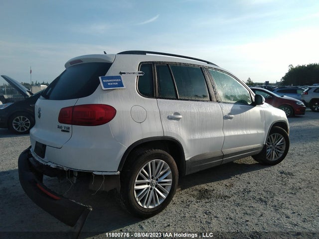WVGJV7AXXGW596344 Volkswagen Tiguan Comfort/high/r-line/sp Ed