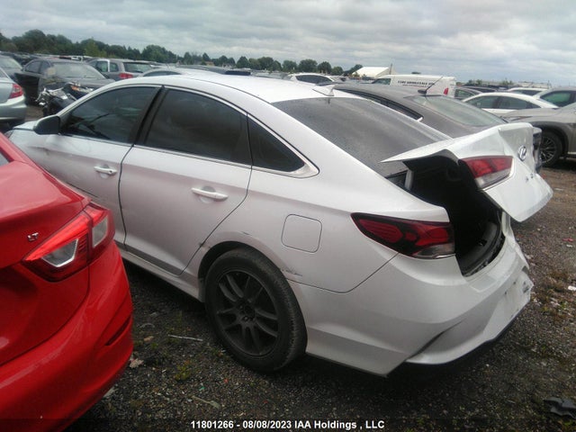 Hyundai SONATA SE 2019 5NPE24AF9KH756006 Image 4