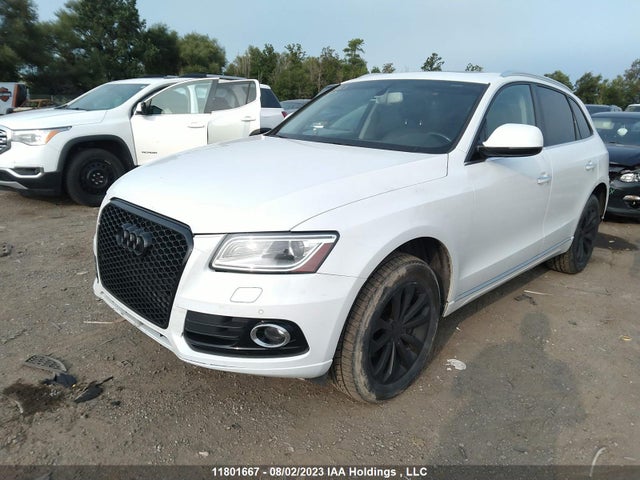 WA1LFCFP3FA115240 Audi Q5 Premium Plus