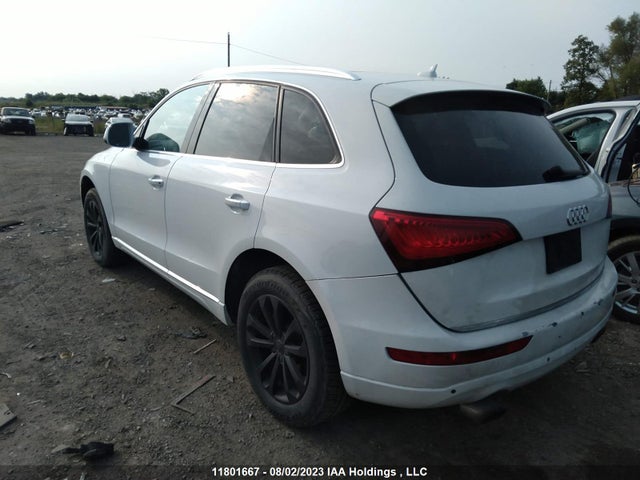 WA1LFCFP3FA115240 Audi Q5 Premium Plus