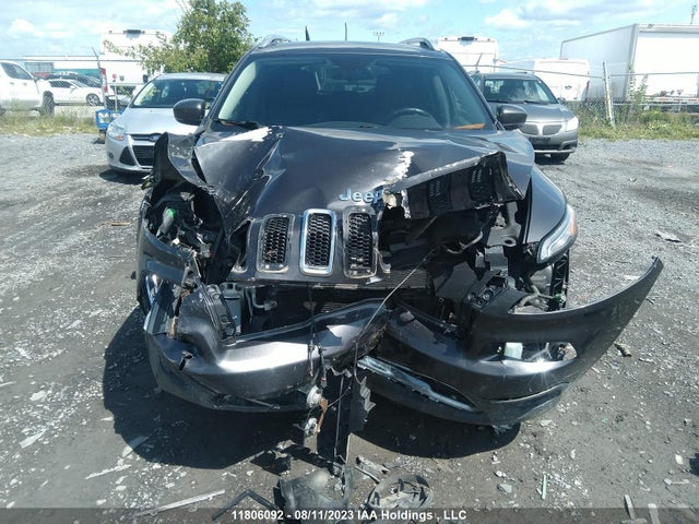 1C4PJMDS2GW196531 Jeep Cherokee