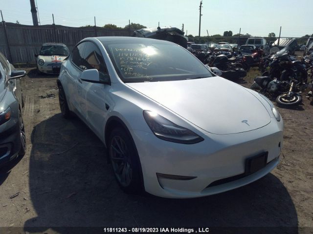 Продажа на аукционе авто 2021 Tesla Model Y Long Range, vin: 5YJYGAEE0MF189667, номер лота: 11811243
