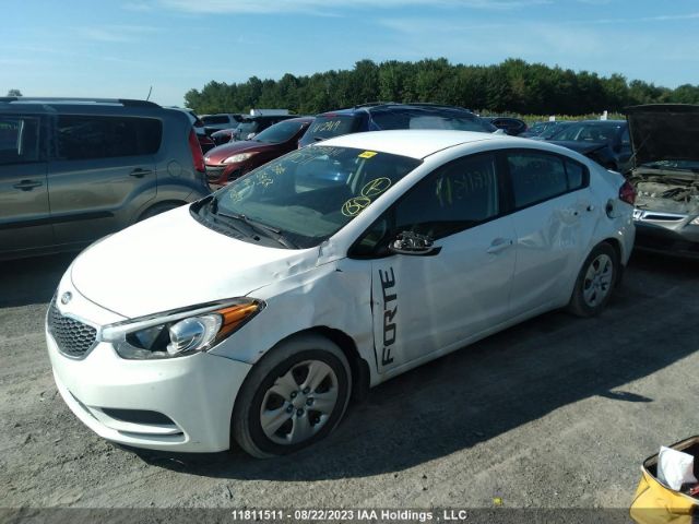 KIA Forte Lx/lx+ 2016 KNAFK4A63G5542167 Image 2